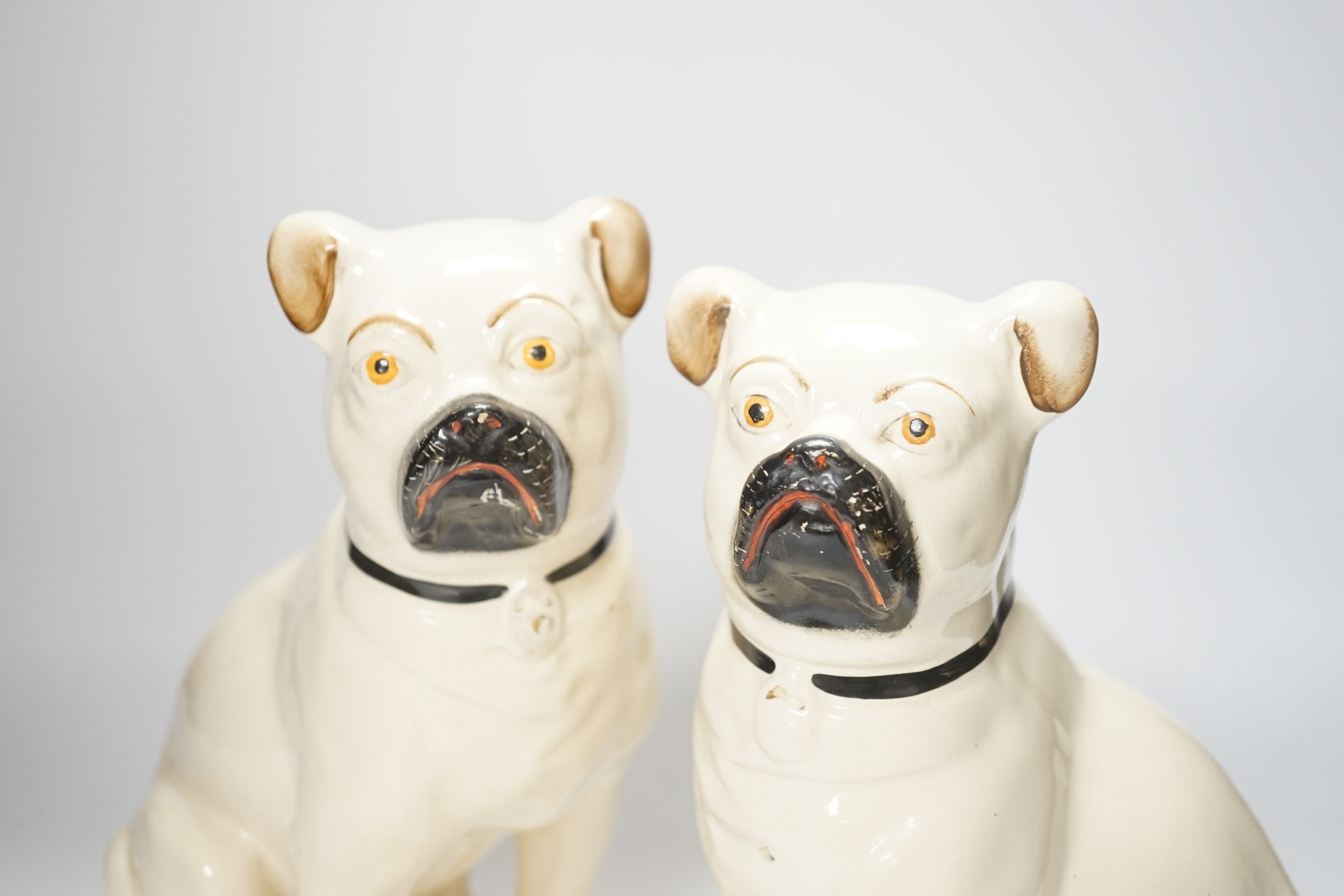 A pair of Staffordshire pug dogs, 28cm high